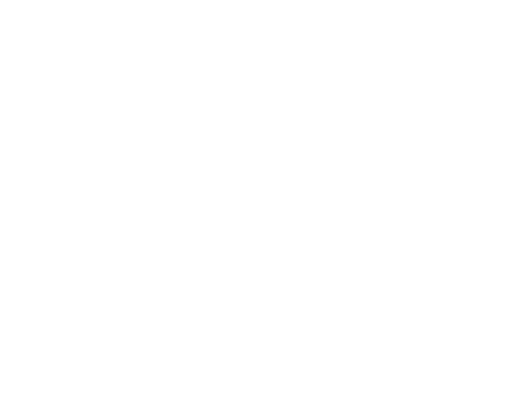 OB Traffic